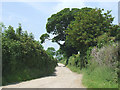 North-west from Walton Farm, Shropshire