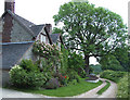 Farm Track and House, near Walton Farm, Shropshire