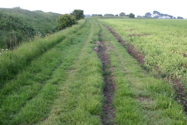 Farm Track