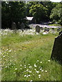 Churchyard at Little Comfort