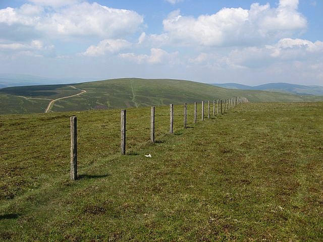 Boundary fence on Wedder Law