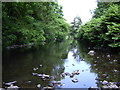 River Irwell at Ewood Bridge