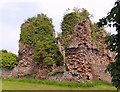 Another view of Alberbury Castle