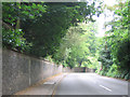 The old road through Mickleham