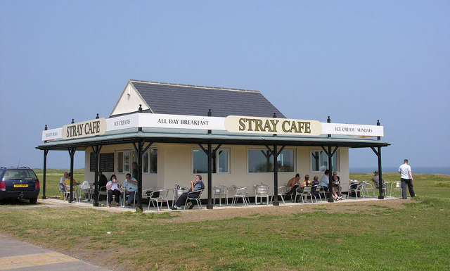 download the stray cafe