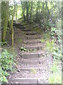 Steps up to Wearish Lane