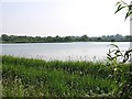TR2261 : View across the lake at Stodmarsh nature reserve by Nick Smith