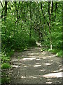 Footpath behind Nuttall housing