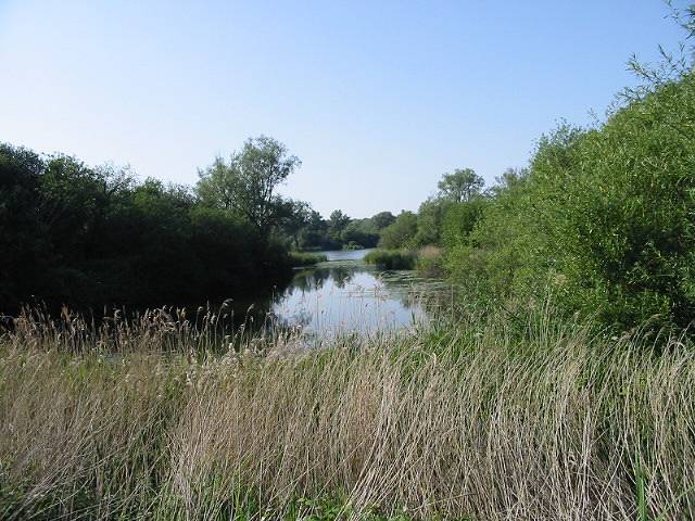 Part of Fordwich lakes from the Stour Valley Walk