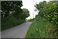 Country road between Gang and Bicton Manor