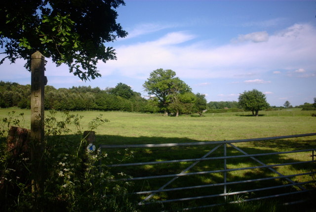 Public Footpath and Fields
