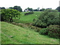 Across the fields to church