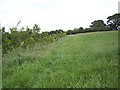 Field edge footpath near Hinton Martell