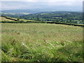 Field beside Exbourne Footpath 4