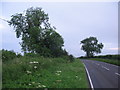 Approaching Woodhouse Cross