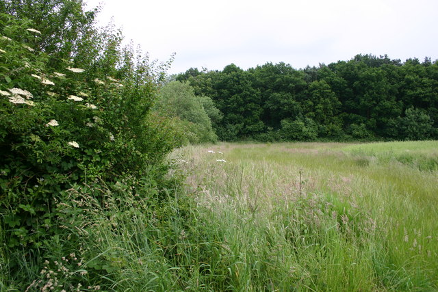 Field, Hedge and Woodland © Stephen Pearce cc-by-sa/2.0 :: Geograph ...