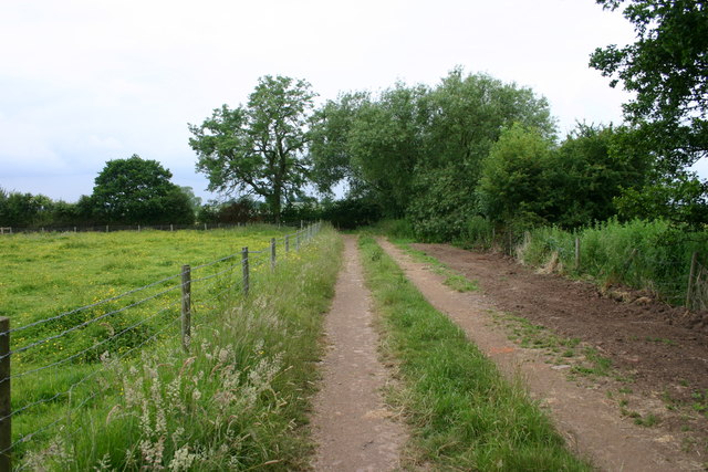 Footpath and Track