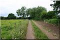 Footpath and Track