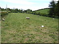 Sheep pasture on Windmill Hill