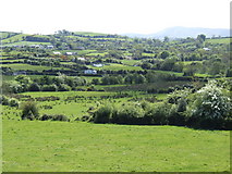 J3453 : Countryside west of Ballynahinch by Jonathan Billinger