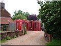 Collection of telephone boxes