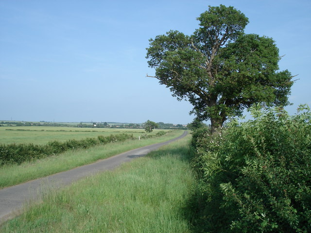 View down the road from Hamerton Grove