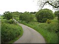 Road to Hopestead and Bogbank