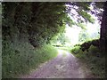 Bridleway towards Church Bottom