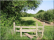 TR1859 : Stile on the Stour Valley Walk, looking E by Nick Smith