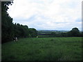 Footpath to Withybrook