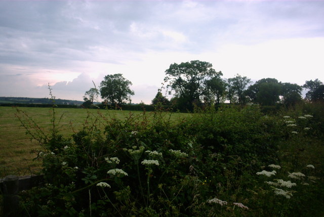 Fields near Wanfield Hall