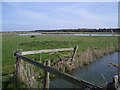 TF8744 : The Marshes SE of Bone's Drove, Holkham by Nigel Stickells