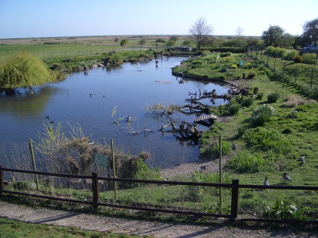 A Water Bird Paradise at Blakeney