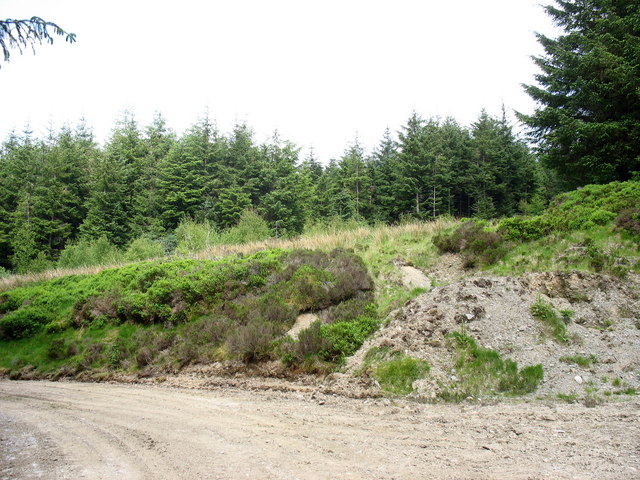 Roadside clearing at Cwm Llusog