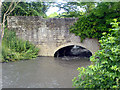 SK5365 : High water level under bridge in Pleasley Vale. by James Hill