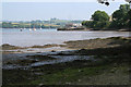 River Tamar, Cargreen