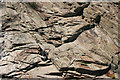 Detail of rock formation on Tamar River tidal shoreline