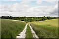 Byway and railway embankment near Boscombe