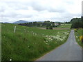 The road to Lumsden from Birkenbower