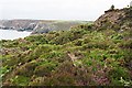 Clifftop near St Agnes