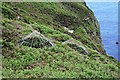 Mineshafts on the Clifftop