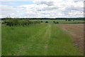 Footpath near Park Wood