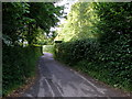 Green and leafy Waterworks Road