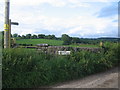 Stile near Yonder Broad Pool Farm