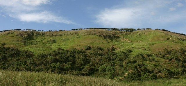Stone Cliff