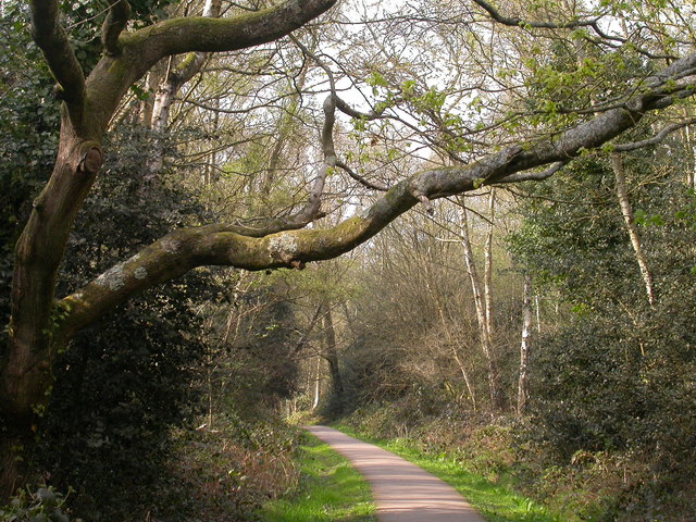A footpath, Southampton Common