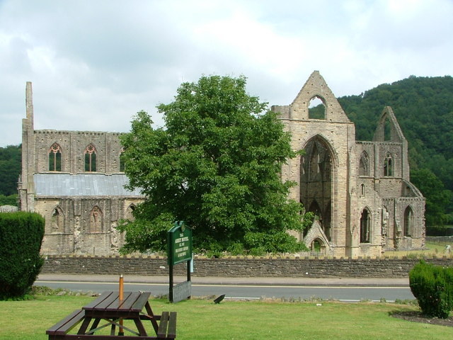 Tintern Abbey - (View from the Abbey Hotel)