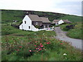 Abereiddi cottages