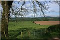 Fields Near Hillhouse