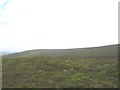 SJ0935 : Ridge above Afon Rhydwilym by Eric Jones
